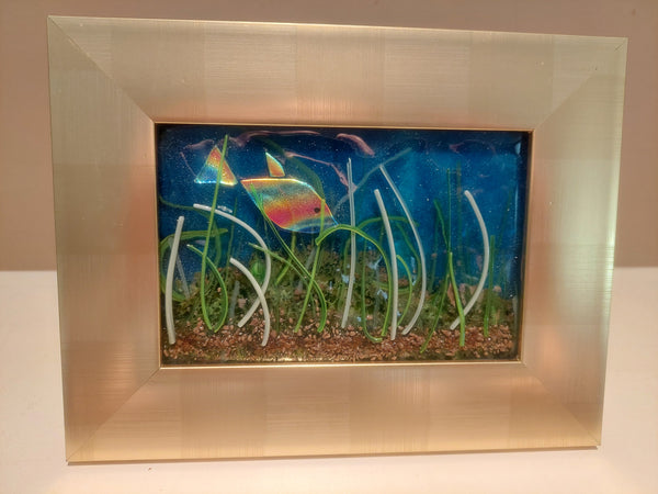 Aquarium